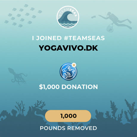 Team Seas - vi-stoetter page