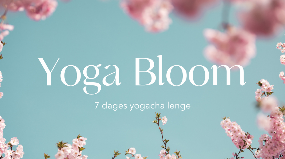 YOGA BLOOM | YOGAVIVO